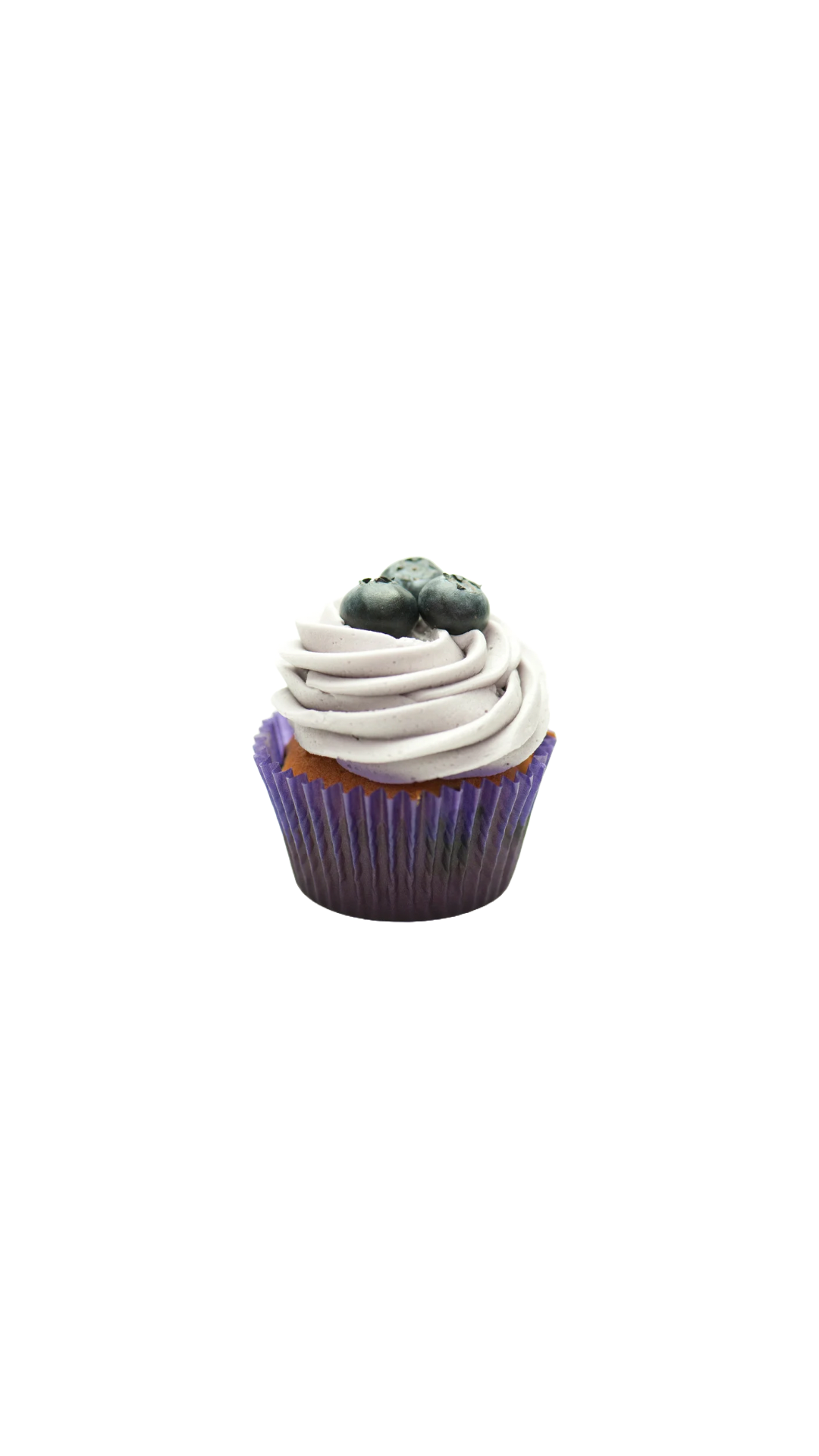 Blueberry Cake